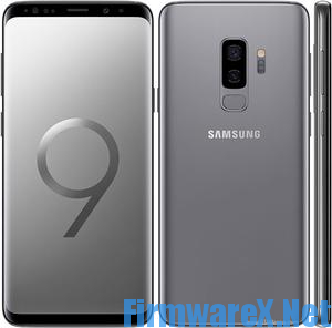 Samsung S9+ SM-G965W Android 10 Firmware