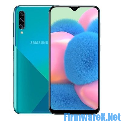 Samsung A30s SM-A307GN Android 10 Firmware
